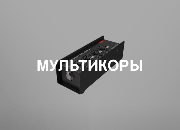 Мультикоры